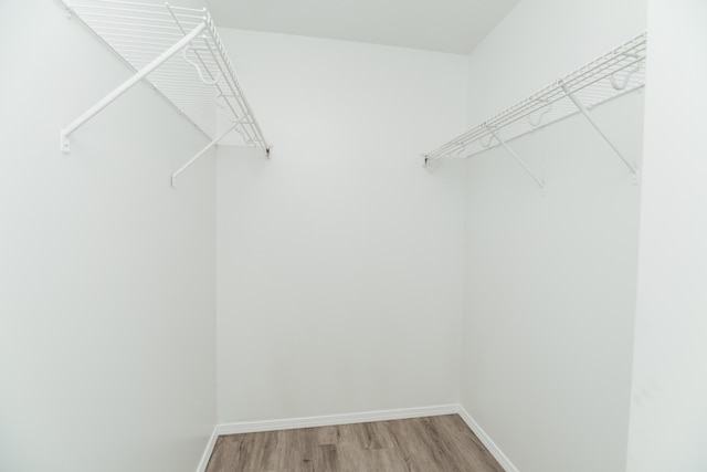 walk in closet featuring light wood finished floors