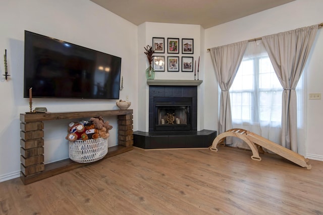 1376 N 14th St, Ozark, MO 65721 - living area featuring baseboards, wood finished floors, and a fireplace