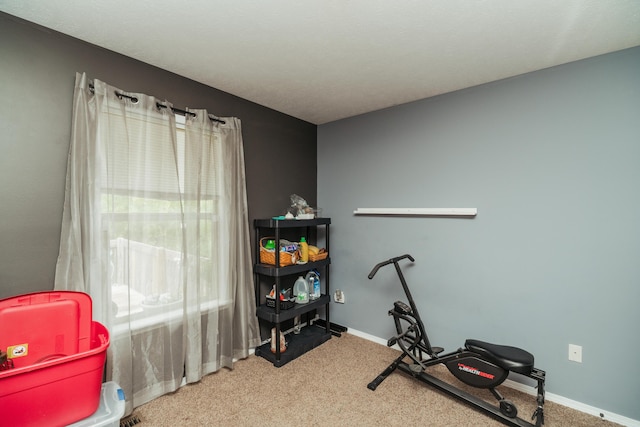 exercise room with baseboards and carpet