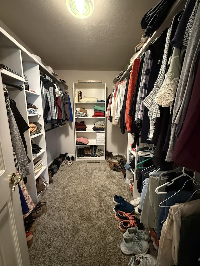 spacious closet featuring carpet