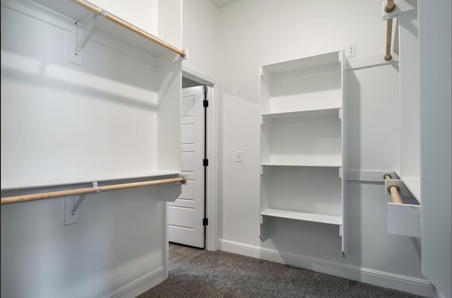walk in closet with carpet flooring