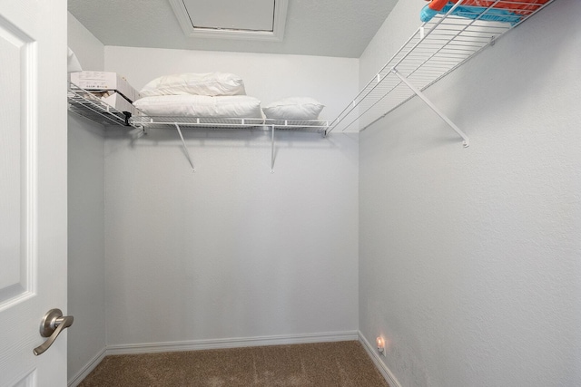 walk in closet featuring carpet