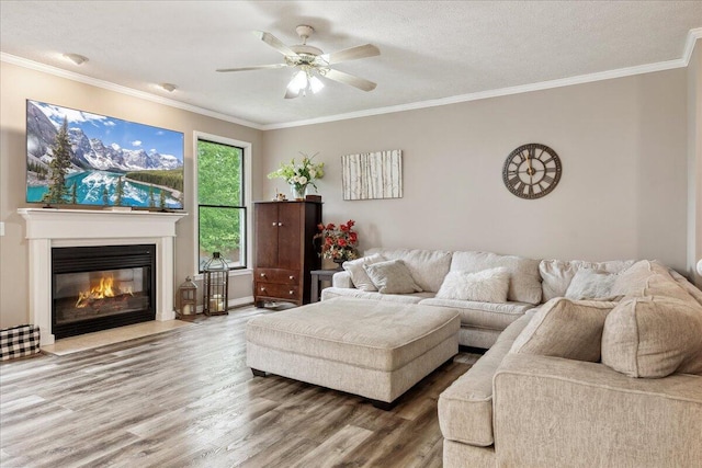 living room with a ceiling fan, a textured ceiling, a fireplace with flush hearth, wood finished floors, and ornamental molding