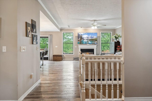 living room with crown molding, ceiling fan, a glass covered fireplace, baseboards, and wood finished floors