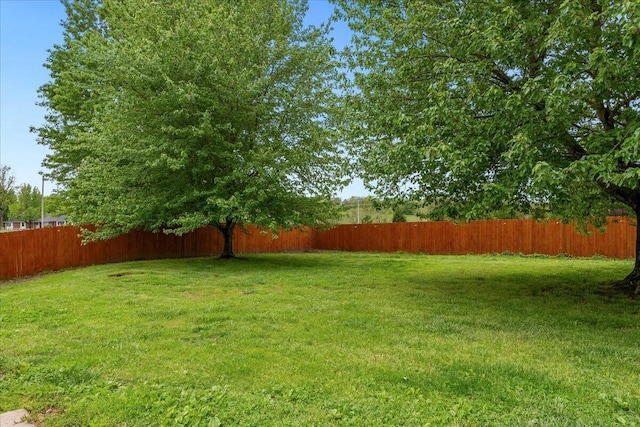 view of yard with a fenced backyard