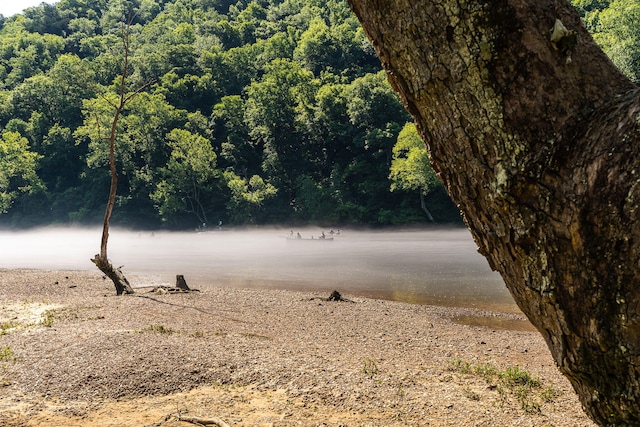 property view of water with a wooded view