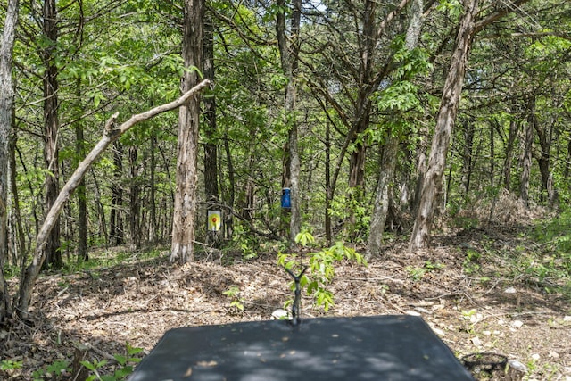 view of local wilderness with a forest view