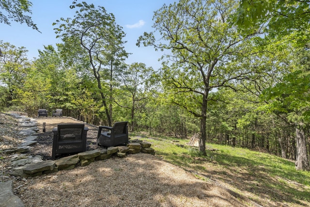 view of yard featuring a wooded view