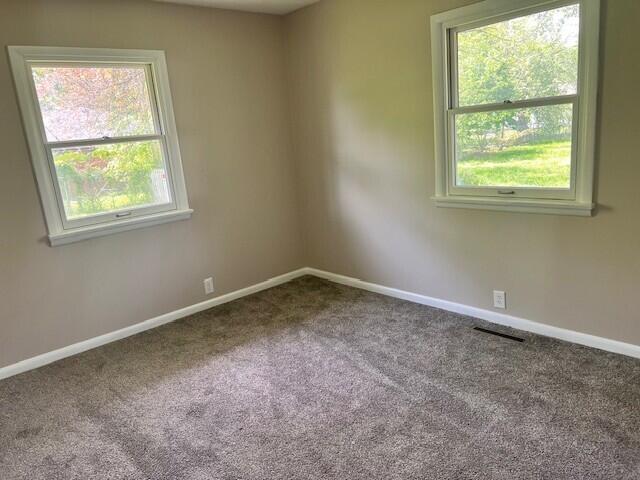 spare room featuring baseboards, a wealth of natural light, carpet flooring, and visible vents