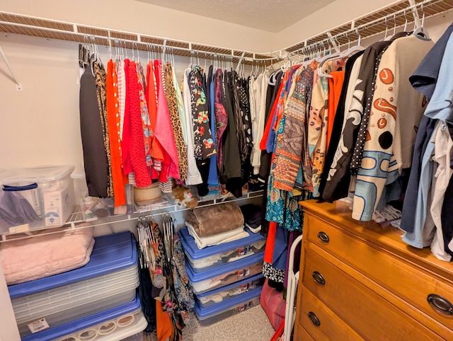 view of spacious closet
