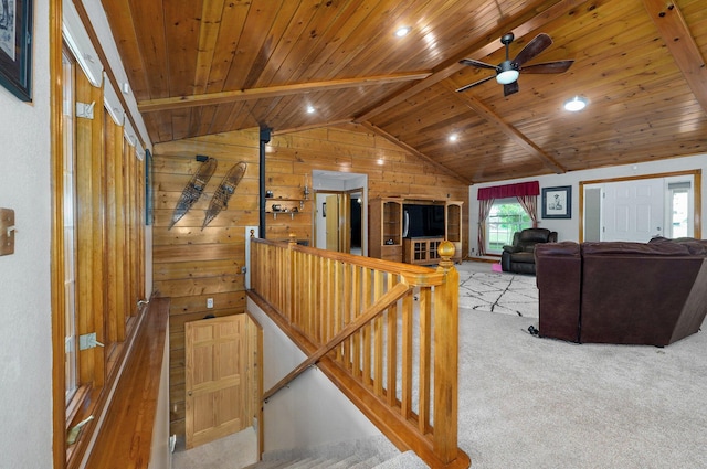 stairway featuring a ceiling fan, wooden ceiling, carpet flooring, wooden walls, and vaulted ceiling with beams