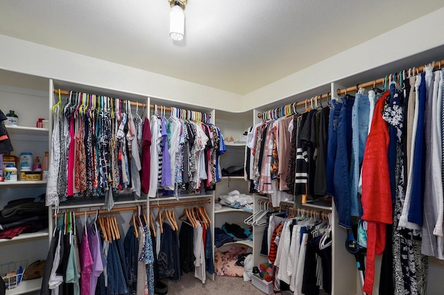 walk in closet with carpet flooring