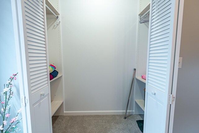 walk in closet featuring carpet floors