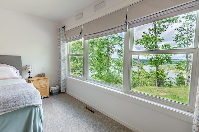 bedroom with light colored carpet, a water view, and baseboards