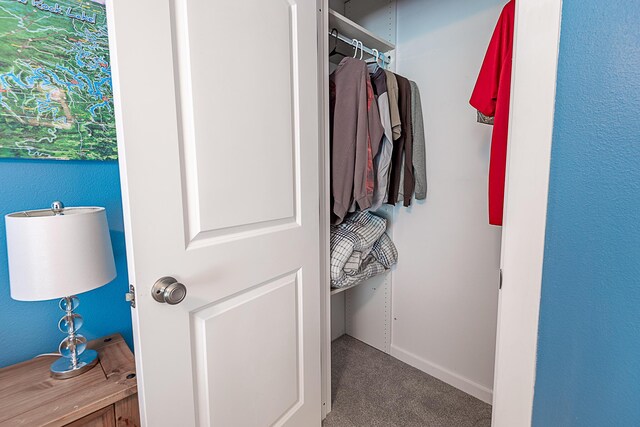 walk in closet featuring carpet flooring