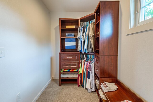 spacious closet featuring light colored carpet