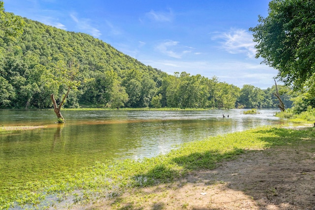 water view featuring a forest view