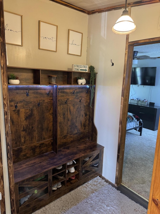 mudroom featuring carpet floors