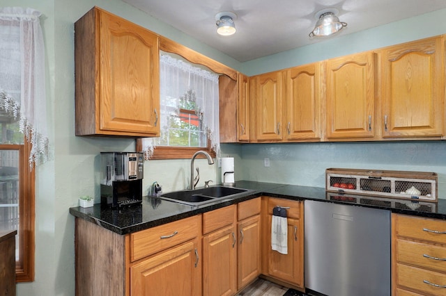 kitchen with stainless steel dishwasher and a sink