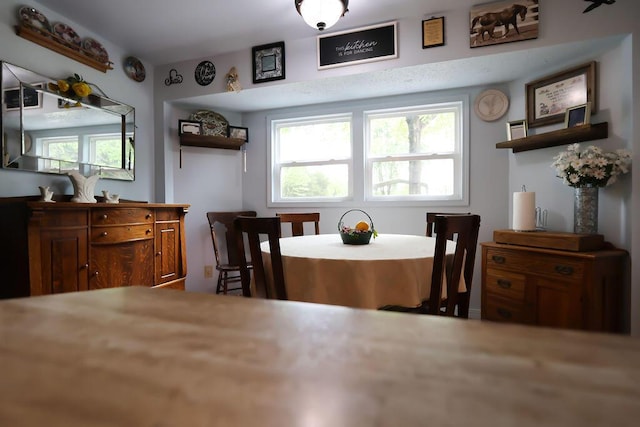 dining space with plenty of natural light