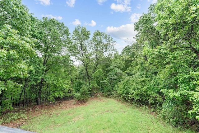 view of yard with a wooded view