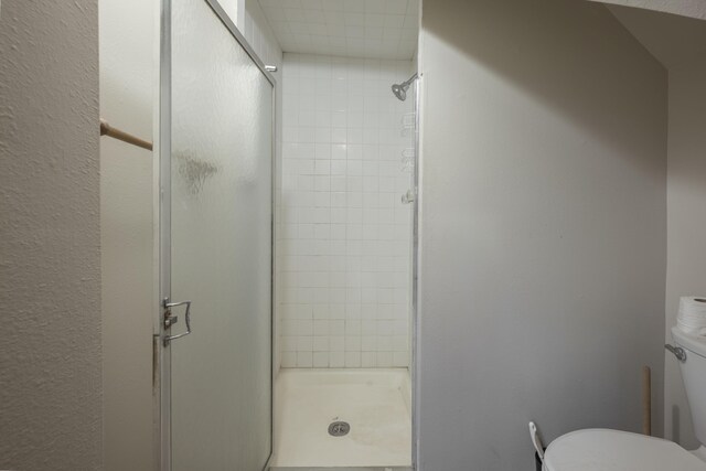 bathroom with a stall shower and toilet