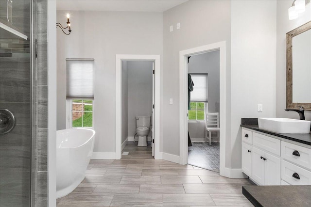 bathroom featuring vanity, toilet, a healthy amount of sunlight, and a freestanding tub