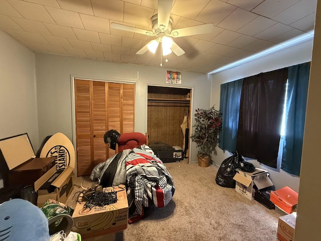 1398 County Road 670, Birch Tree, MO 65438 - carpeted bedroom featuring multiple closets and ceiling fan