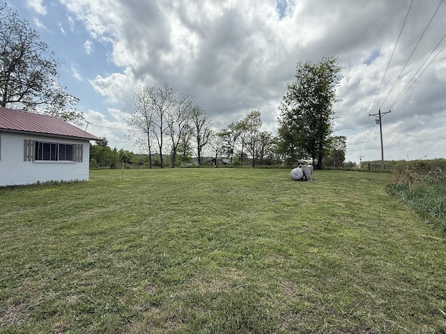 1398 County Road 670, Birch Tree, MO 65438 - view of yard