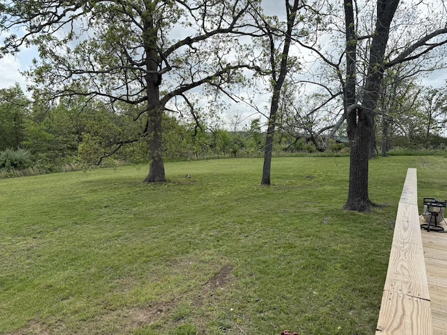 1398 County Road 670, Birch Tree, MO 65438 - view of yard