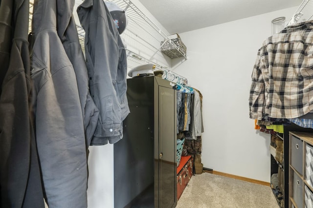 spacious closet with carpet