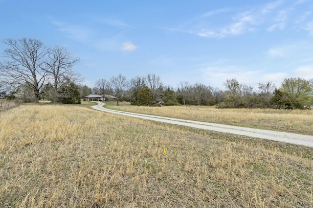 view of street featuring driveway