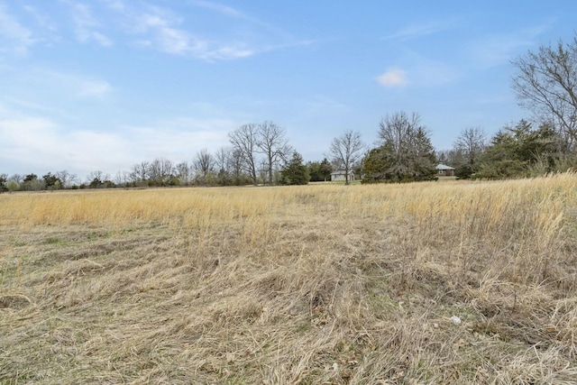 view of nature featuring a rural view