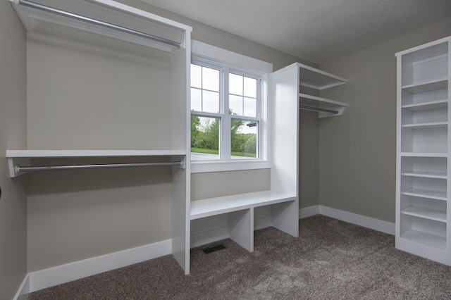 385 Plumtree Dr, Ozark, MO 65721 - spacious closet featuring carpet flooring and visible vents