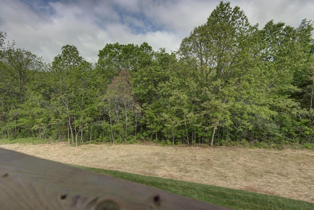 385 Plumtree Dr, Ozark, MO 65721 - view of landscape with a view of trees