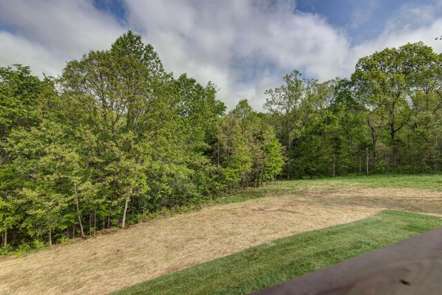 385 Plumtree Dr, Ozark, MO 65721 - view of yard with a view of trees