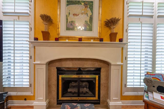 details featuring a fireplace