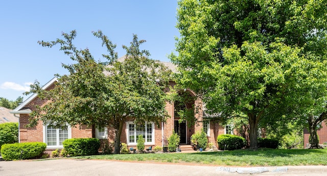 view of property hidden behind natural elements with a front lawn and brick siding