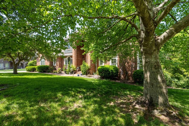 obstructed view of property with a front lawn and brick siding