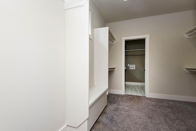 spacious closet featuring carpet floors