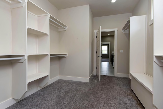 spacious closet featuring carpet