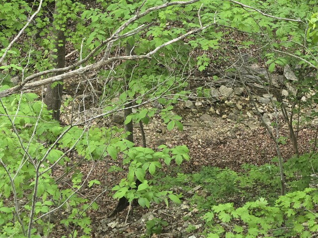 22674 Forest Ln, Hermitage, MO 65668 - photo 30