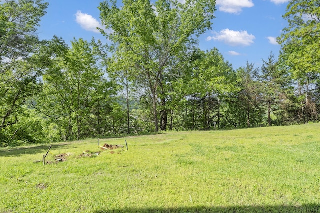 112 Overlook Dr Unit 2, Branson, MO 65616 - view of yard