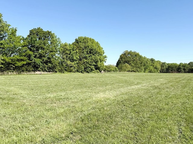 view of yard featuring a rural view