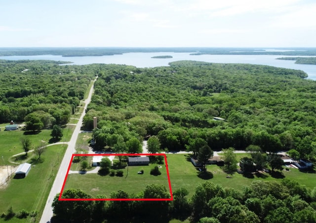 bird's eye view with a water view and a wooded view