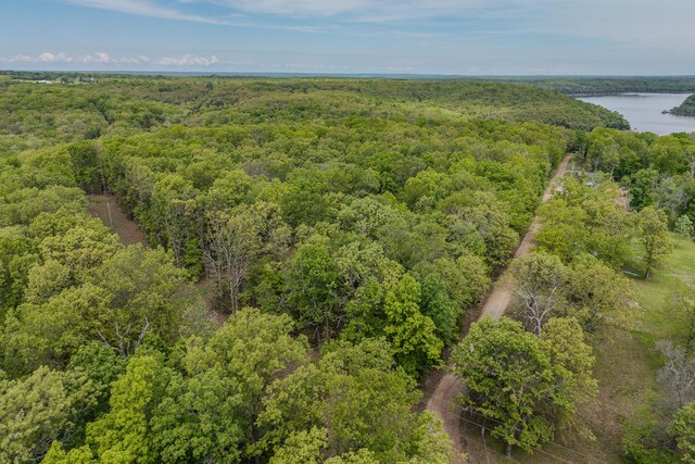 000 Pandamonium Way, Pittsburg, MO 65724