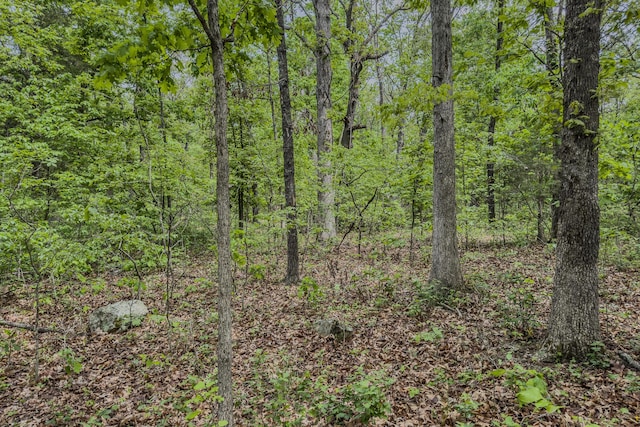 000 Pandamonium Way, Pittsburg, MO 65724