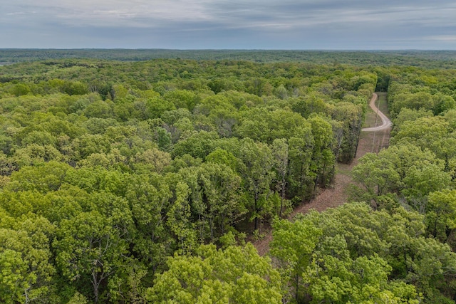 000 Pandamonium Way, Pittsburg, MO 65724