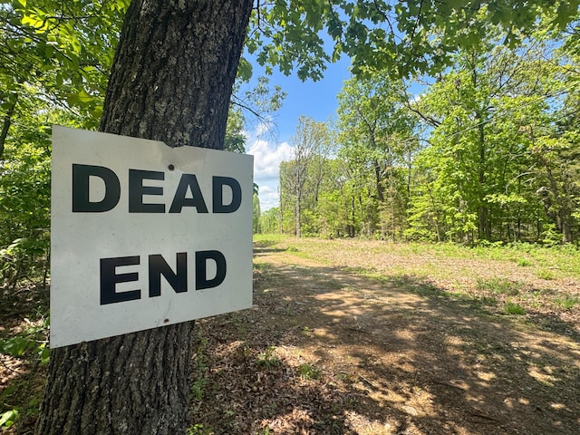 000 Pandamonium Way, Pittsburg, MO 65724