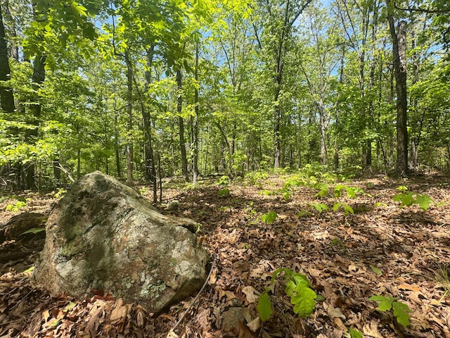 000 Pandamonium Way, Pittsburg, MO 65724
